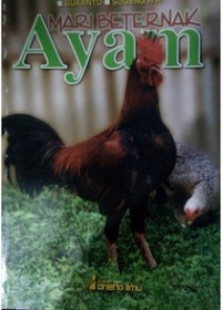 Image of Mari beternak ayam